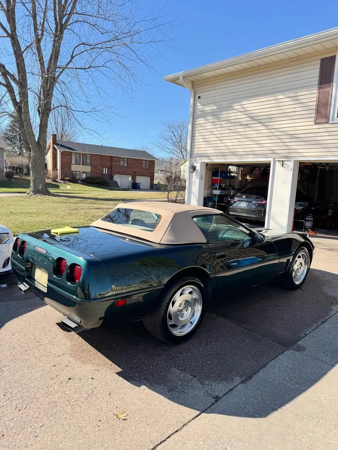 Clean Corvette exterior reflecting daylight after wash and seal